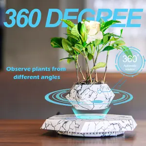 HCNT Magnetic levitation potted plant 360 degree rotating creative home decoration can put real plant unique bonsai desktop decoration home gift creative gift