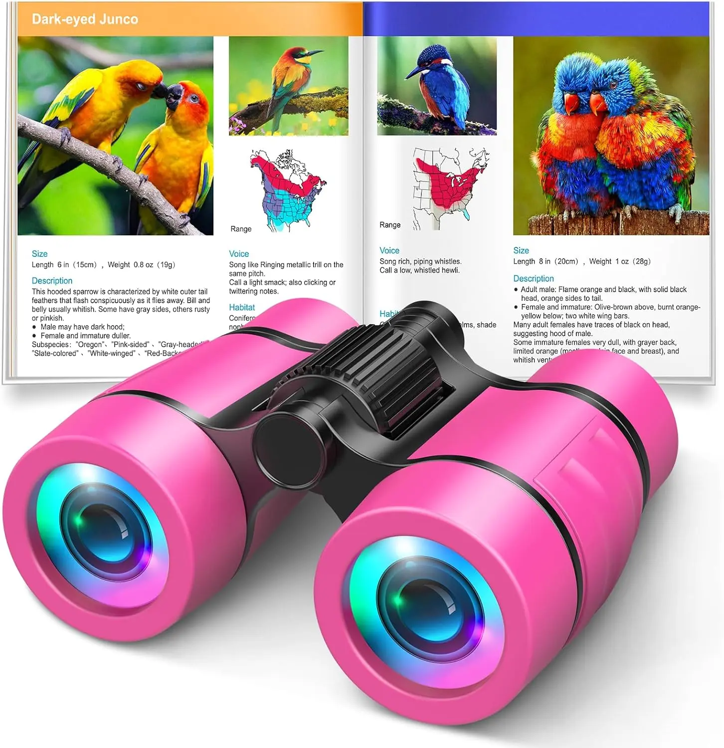 Unisex Kids' 4x30 Compact Binoculars - Easy Grip Educational Science Toy with Lens Wiping Cloth, 17 Bird ID Guide for 4-6 Year Olds, Ideal for Outdoor Activities, Learning, Memory Training & Observation, Great Gift, Animals & Nature