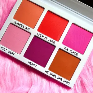 The GOSSIP Column Blush Palette