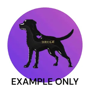 Customizable Resin Labrador keychain/3D magnet - All Proceeds donated to surgery !