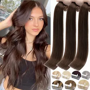 20 Pcs Tape In Hair Extensions 100% Real Remy  Human Hair Extensions Skin Weft Straight Hair Stick On 12 inch-24 inch Balayage