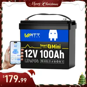 WattCycle 12V 100Ah Mini Bluetooth LiFePO4 Battery Group 22NF , Utilizing EV Grade A+ Cells,Lightweight Compact Power