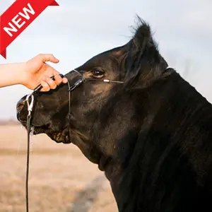 Phantom Cattle Cable Halter w/ Ghost Grip