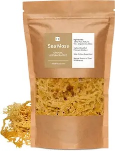 HalalEveryDay Wildcrafted Irish Sea Moss 1lb Bag 100% Pure All Natural Vitamin Mineral Rich No Preservatives Golden 16 oz Organic Whole Leaf Dried