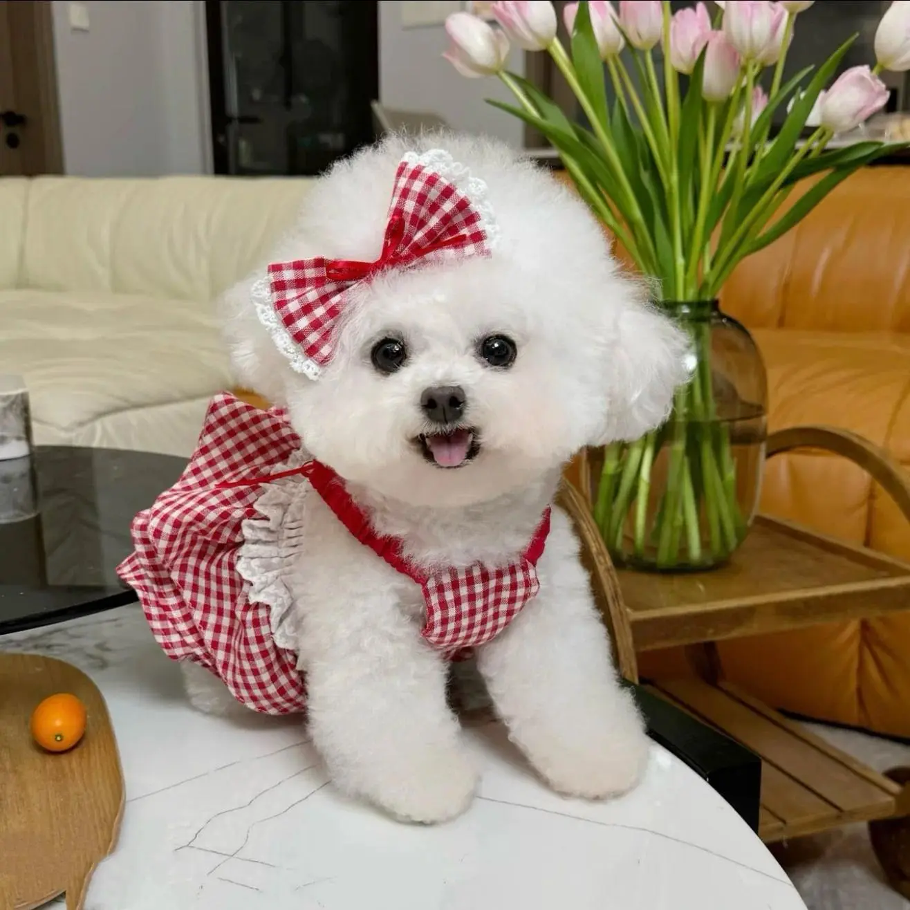 Schnauzer  Princess Dress Teddy Summer Clothes Poodle Classic Checkered Camisole Maltese Sweet Skirt Pet Supplies