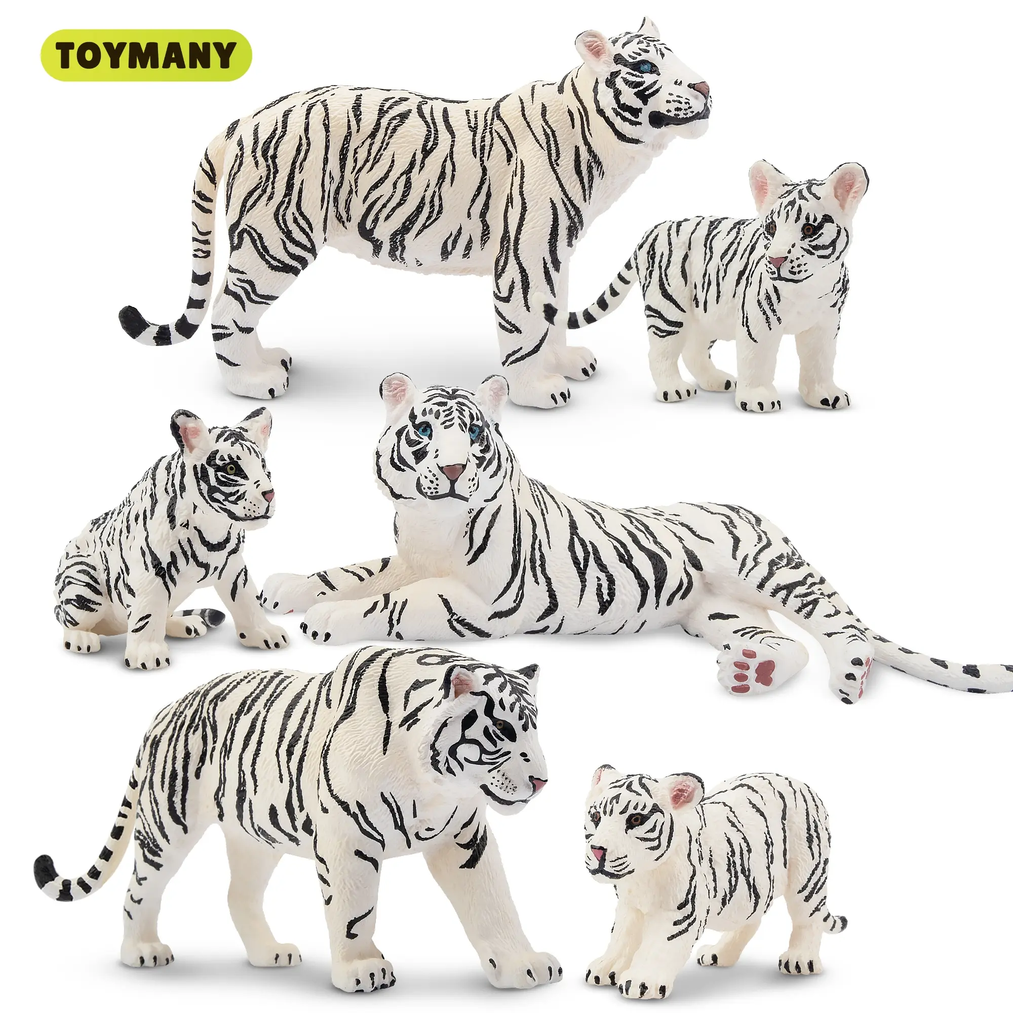 TOYMANY 6PCS Realistic White Tiger Figurines Set - 2-6" Family with Cubs, Tiger Toy, Educational Jungle Animal Toy, Cake Toppers, 3+ Kids' Christmas Gift, Mini Figurines Animals, Realistic Miniature Animals