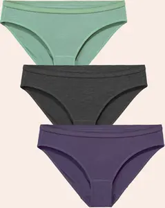 3 Pack Women's Merino Wool Bikini Brief Underwear- Comfort Womenswear Panties Basic Minimalist