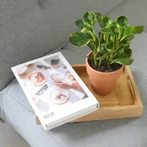 Peperomia 'Marble'