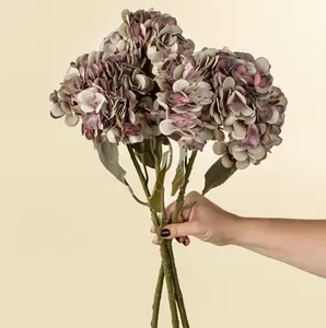 Faded Hydrangea Stem