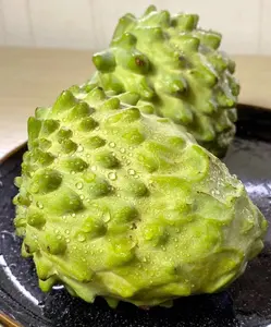 Organic Soursop (Graviola) Seeds – 30pcs Non-GMO Heirloom Tropical Fruit seeds