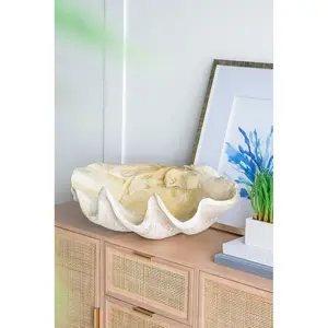 Glossy Large Natural Clam Shell Bowl, Cream Magnesium Oxide Coastal Decor Centerpiece for Home & Bathroom