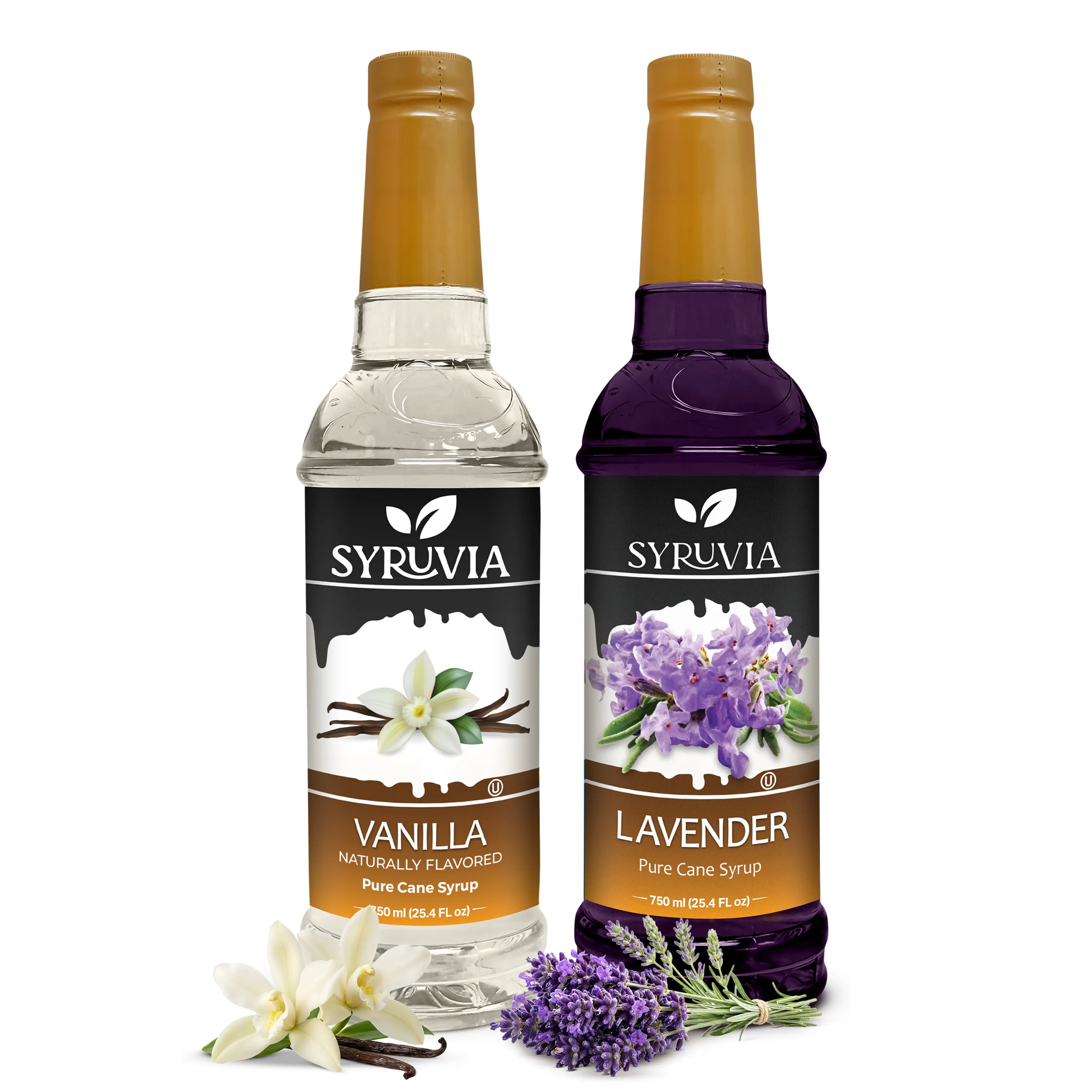Syruvia Coffee Syrup Variety Pack – Vanilla & Lavender Syrups – 25.4 fl oz – Great for Iced Coffee, Lattes, Tea & More (2-Pack)