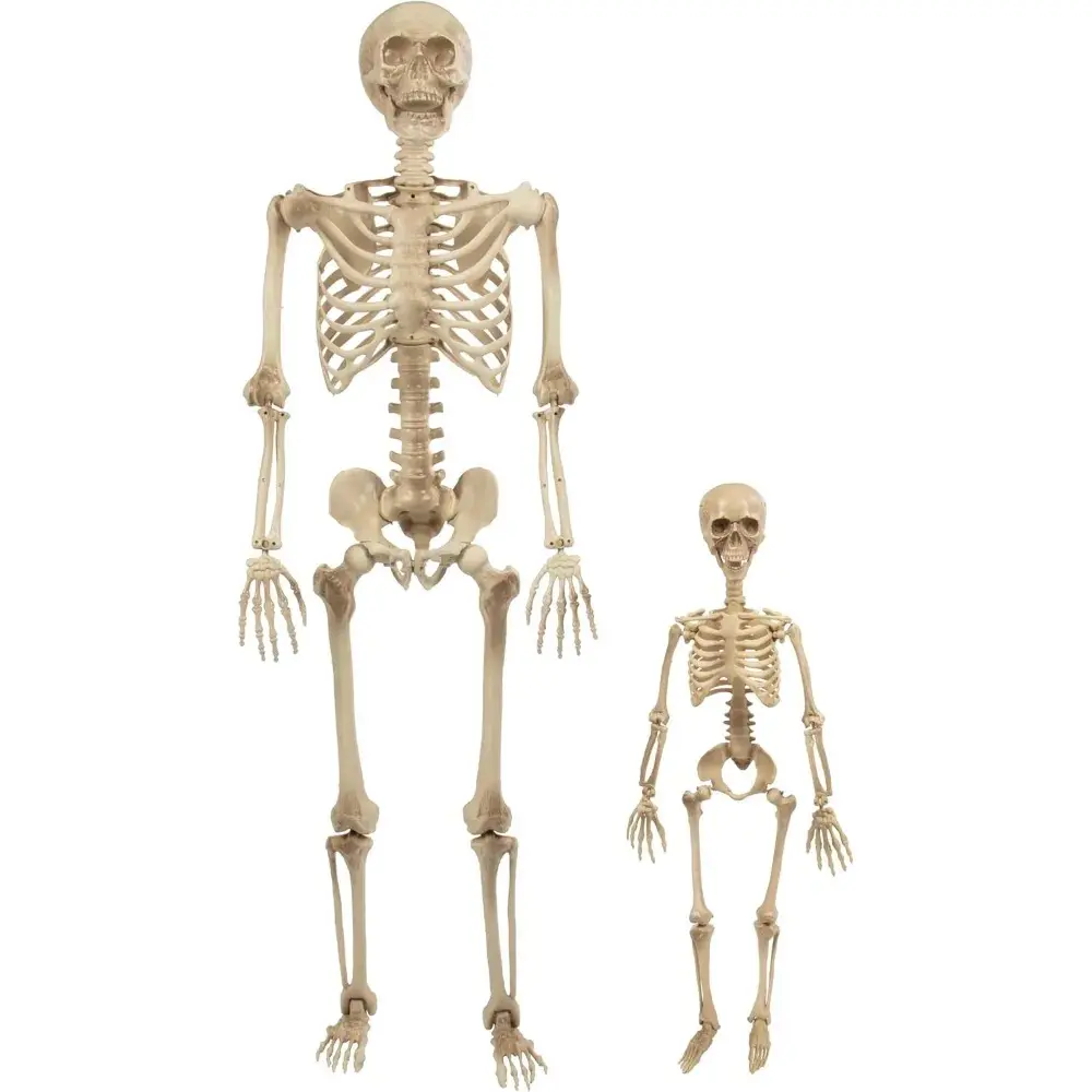 Posable Human Adult (5' 4") & Child (3') Skeleton Value 2 Pack - Life Size, Articulated Limbs & Bones Stay in Place, Weather Resistant Halloween Indoor/Outdoor Decoration - Halloween Graveyard Decor