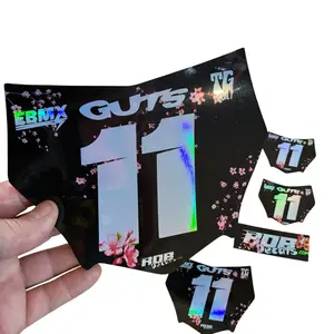 MotoCutz Plate Decal — Pink Cherry Blossom (Holograph Chrome)
