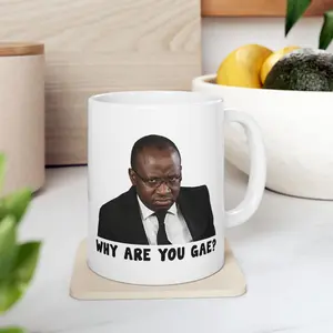 Why Are You Gae Meme Ceramic Mug, Gay Meme Coffee Mug, Viral Meme Mug Gift Reuse