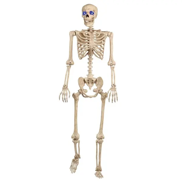 60 Inch Light Up Skeleton Halloween Decoration 60 Inch Light Up Skeleton Halloween Decoration