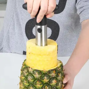 Convenient Pineapple Cutter, 1 Count Stainless Steel Pineapple Peeler, Fruit Utensils for Home Kitchen, Fruit Vegetable Slicer