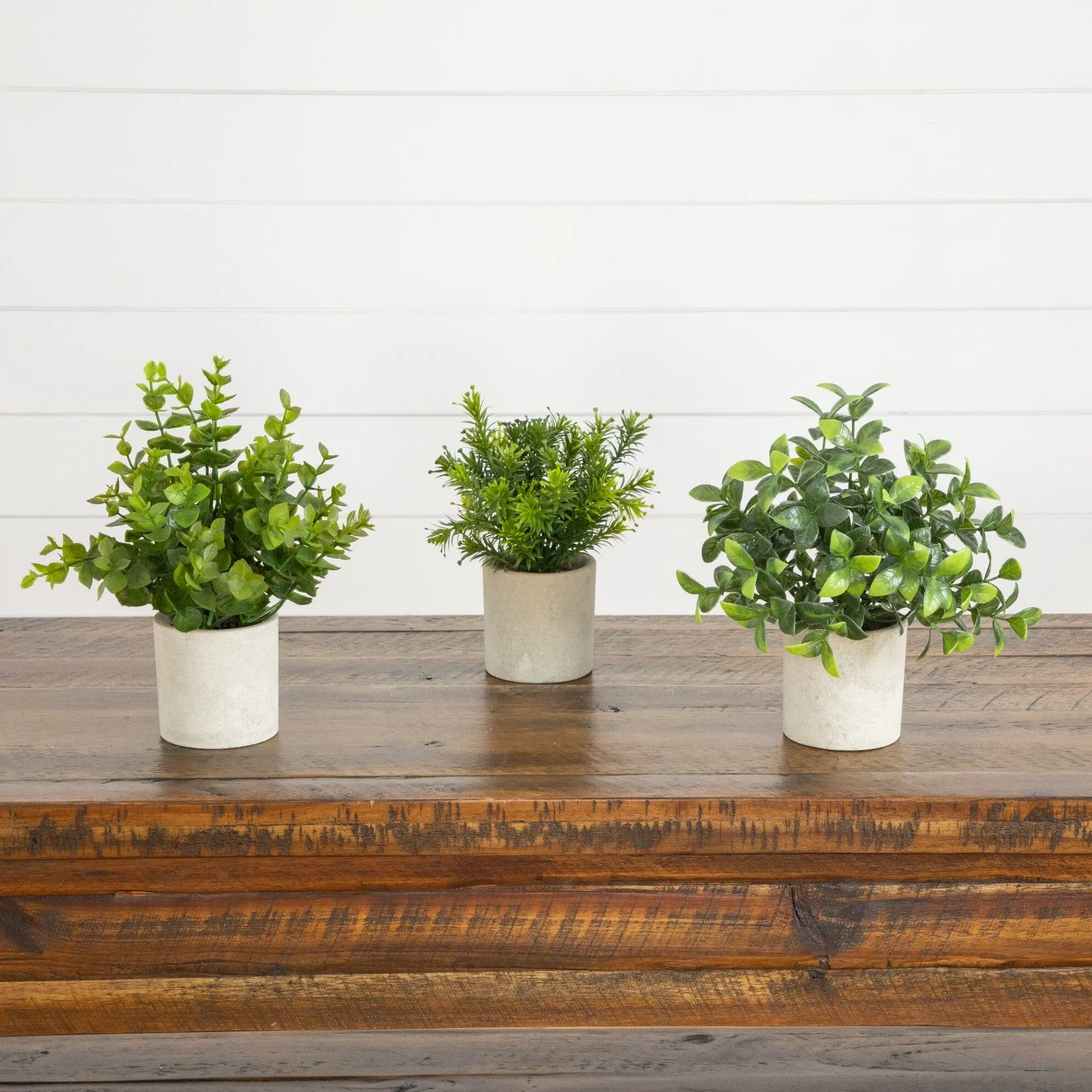 8” Artificial Mini Greenery Potted Plant - Set of 3