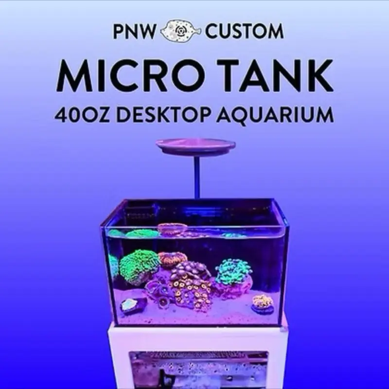 Micro Reef-Ready Tank | 40oz Desktop Aquarium Saltwater or Freshwater