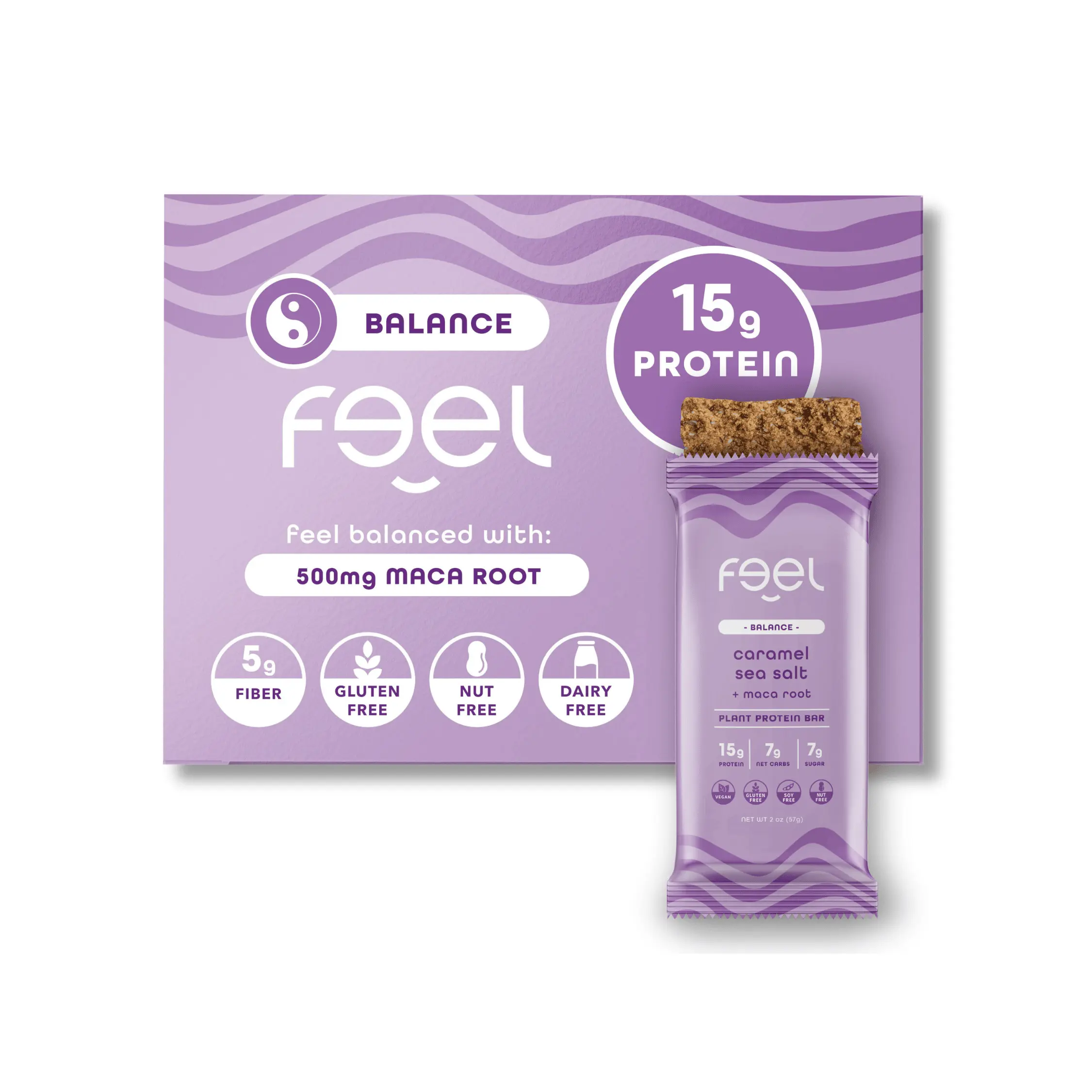 Feel Vegan Protein Bars | Caramel Sea Salt | Keto | Gluten Free | Organic | Maca | 15g Plant Protein | Low Carb | High Protein | Dairy Free | Low Sugar | Grain Free | Nut Free | Soy Free | Non GMO - (Caramel Sea Salt, 10 Pack)