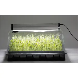 Seedling Starter Kit