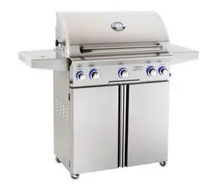 American Outdoor Grill 30 Inch Portable Stainless Steel Propane Grill with Backlit Knobs