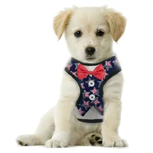 US Flag Dog Harness for Small Dogs No Pull Dog Harness, Step-In Adjustable Puppy Harness, Cute Soft Breathable Dog Vest Harness