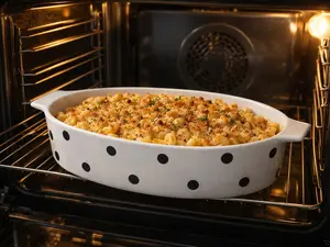 Dream Home Collection Elegant Polka Dot Ceramic Oval Baker with Handles