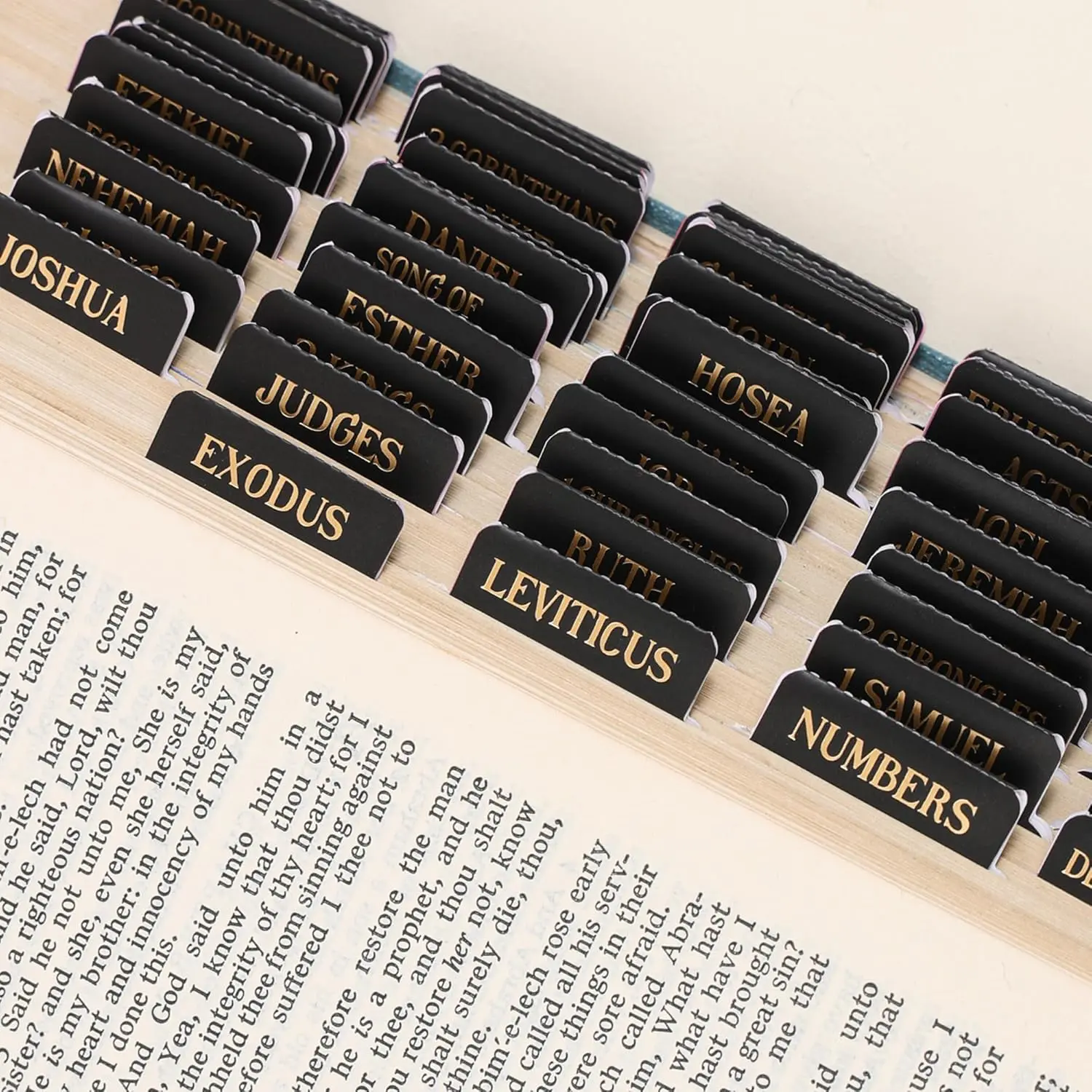 Laminated Chapter Index Tabs, Durable Foil Embossed Large Print Sticky Labels with 66 Pre-Printed & 105 Chapter Labels, Easy to Read/Apply for Navigation, Ideal for Christmas & Easter Confirmations (Black)