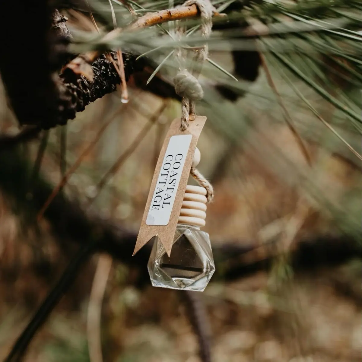 Car freshener - diffuser