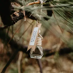 Car freshener - diffuser