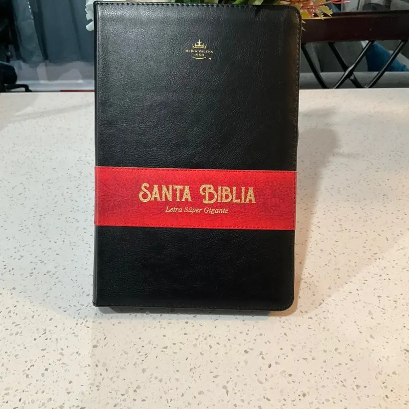 Biblia 19 Puntos