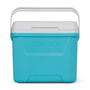 Portable Insulated Cooler Box with Carry Handle, Lightweight Ice Chest for Camping, Beach, Picnic & Outdoor Travel