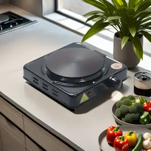 Portable Hot Plate 9x9x3inch Fine Workmanship Five Levels Lab Electric High Power Fast Heating Heat Preservation Home Gift