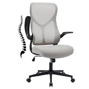 Office Chair, Ergonomic Desk Chair Compute High Back Mesh Chair, Executive Home Office with Flip-up Armrests Adjustable