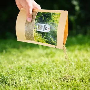 6000 Seeds Rapid Growth Lawn Grass – No Bald Spots, All-Weather Hardy, Perfect for Dense Turf & Golf Greens  #Summervibes