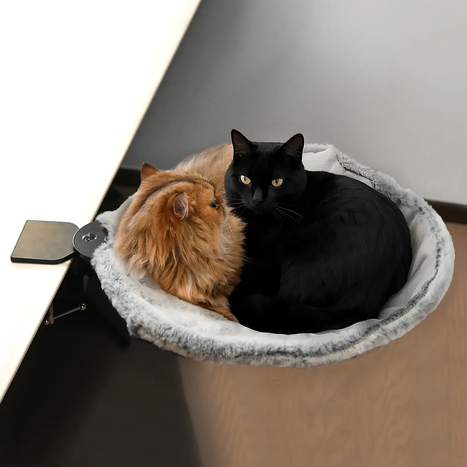 ButtonwoodNest|Cozy Cat Bed,Climbing tree|Removable Cat Nest with Strong Frame withstand 30 pounds,Clip-On Cat Perch with Anti-Slip Pad & Detachable a
