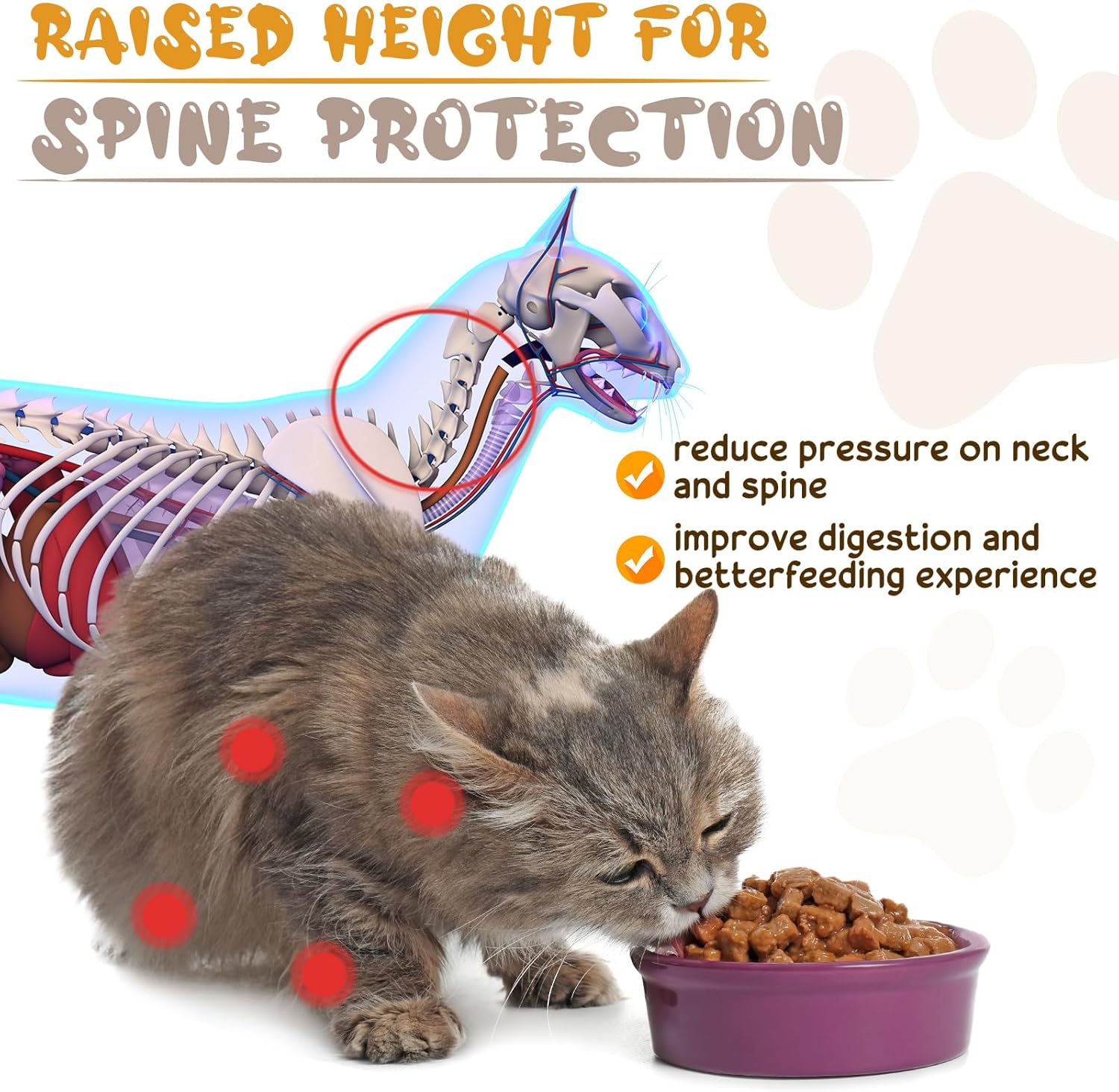 Elevated Cat Bowl with Iron Stand – Ceramic Water & Food Feeding Station for Cats and Small Dogs (Silver/Gold)