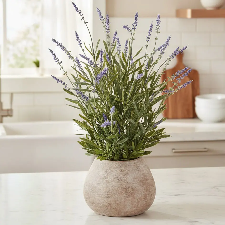 24"Lavender in Cement Pot