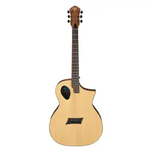 Michael Kelly Forte Port Acoustic Electric Guitar (Natural) *USA Small Business*