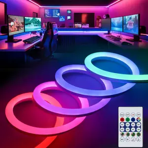 LED Smart Neon Light Strip, USB-Powered RGBIC Flexible Rope Light with App and Remote Control, LED Strip Lights for Bedroom, Living Room, Game Room or TV Wall, LED Light Strips #GLOBAL PICKS