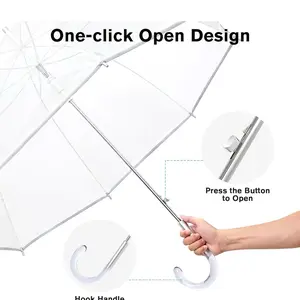 Clear and white Umbrella
