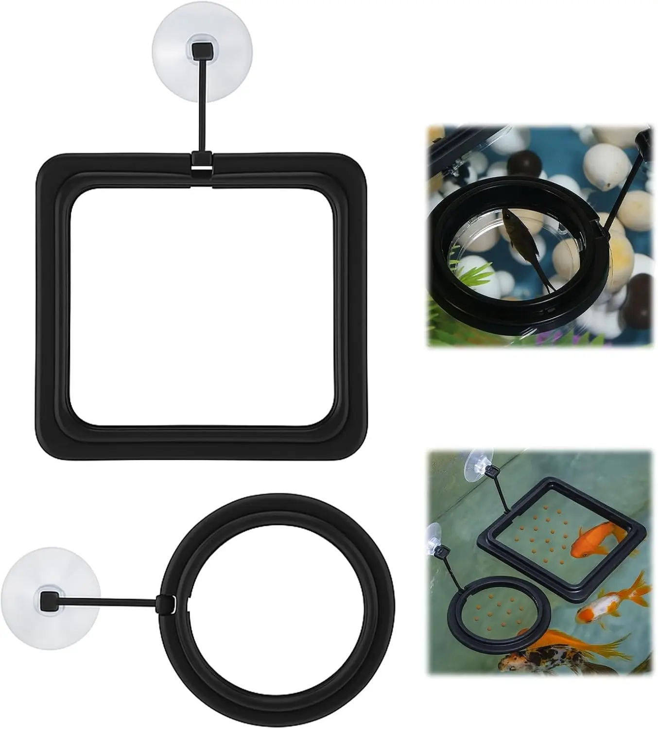 2-Pack Plastic Circular Floating Aquarium Fish Feeding Ring Accessory with Suction Cups, Stain Resistant, Window-Mountable, for Daily Feeding of Small Fish (Goldfish, Betta), Square Tank Spare Replacement, Aquarists, Floating Feeders