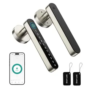Valentine's Day Gift EUERTE 5 in 1 Keyless Entry Door Lock for Bedroom,Smart Fingerprint Door Handle with Code,Thumbprint Smart Doorknobs Lock Keypad for Interior Room,Apartment,Office,Storage Room,Motel(Silver,Black)
