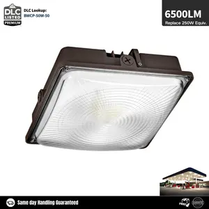 250W Equiv. LED Canopy Light Parking Lot Gas Station Light Porch Light | Rebate Qualified