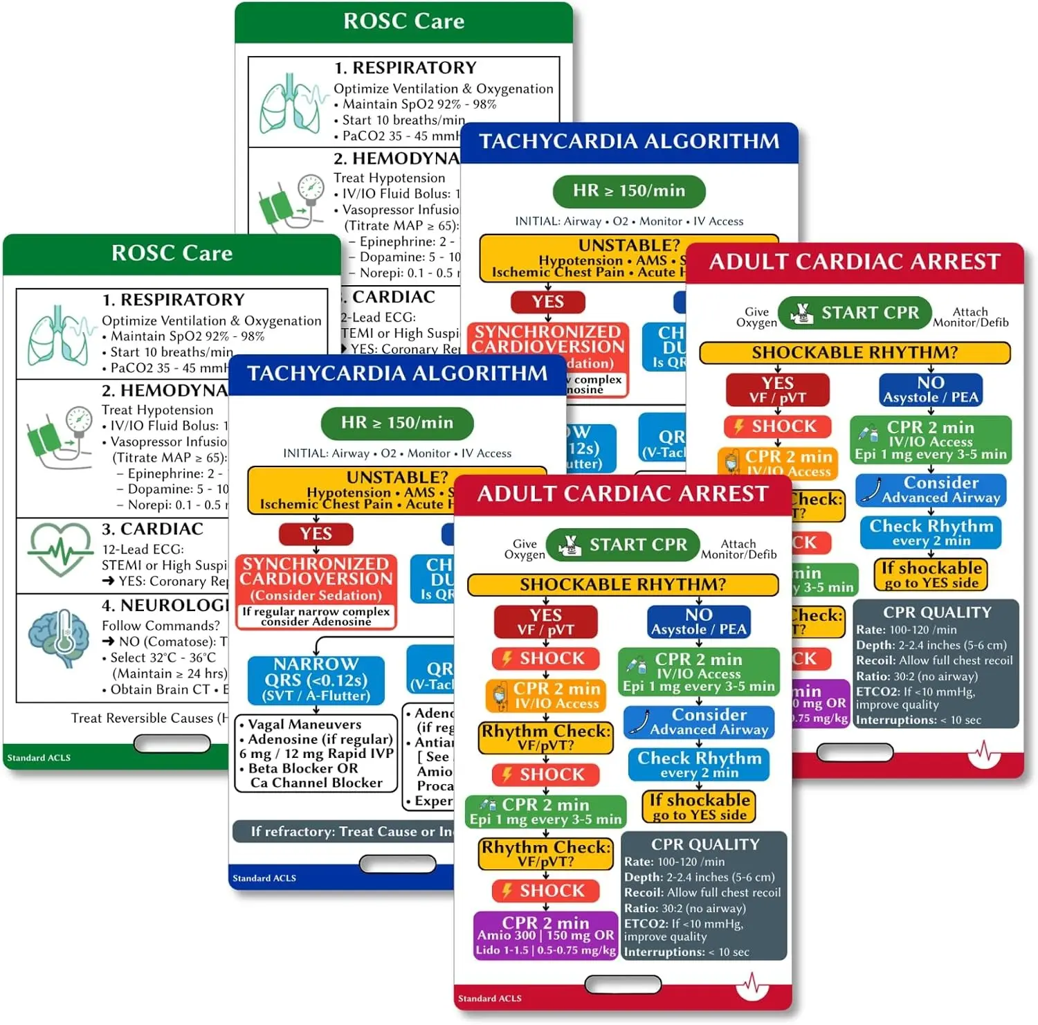ACLS Badge Buddy [2-Pack] - Advanced Cardiac Life Support Cards for ER Nurse, ICU & Paramedics - Waterproof PVC Reference with Meds, Hs & Ts, Cardiac Arrest & Arrhythmia Algorithms (2)