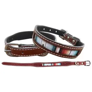 Teal Serape Southwest Printed Leather dog collar