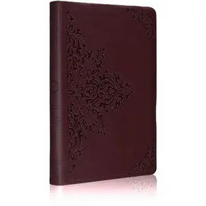 USED-ESV Value Thinline Bible (TruTone, Chestnut, Filigree Design) by ESV Bibles by Crossway (Unknown)