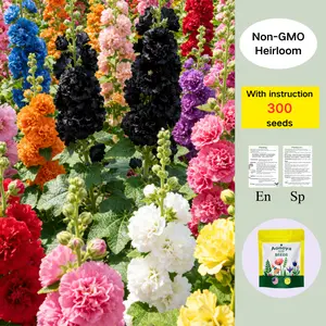 [Promise: Germinate or Refund]300pcs Double Hollyhock Seeds 'Radiant Rose’ - Mixed Colors, Non-GMO Heirloom, Hardy Biennial for Vibrant & Tall Blooms Plant Garden Outdoor Flower Pot Decorative Tulip