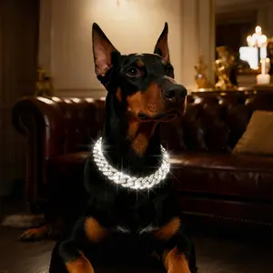 Rhinestone Decorated Dog Chain, 1 Count Pet Necklace With Secure Buckle, Fashionable Pet Accessories For Small Medium Large Dogs